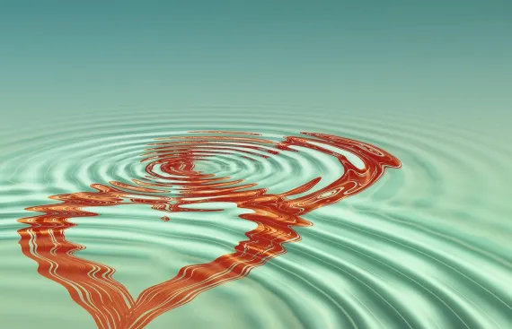 BoVegas Casino Ënnerstëtzung